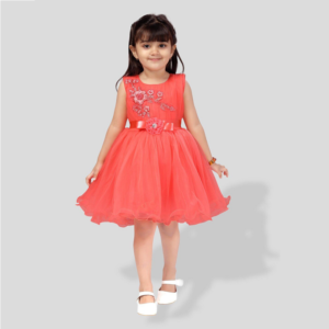 PM Girls Party Wear Frock
