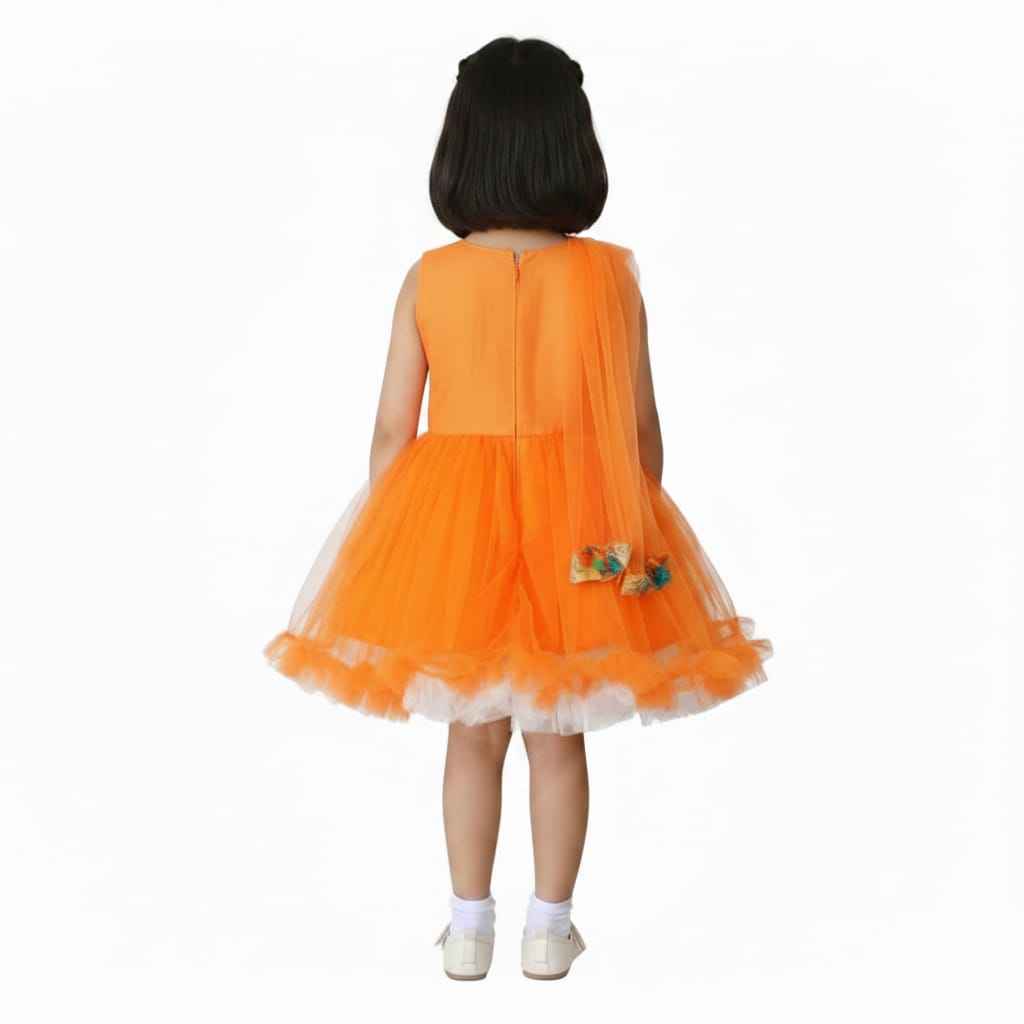 PM Girls Party Wear Frock