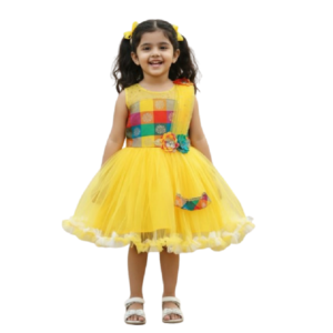 PM Girls Party Wear Frock