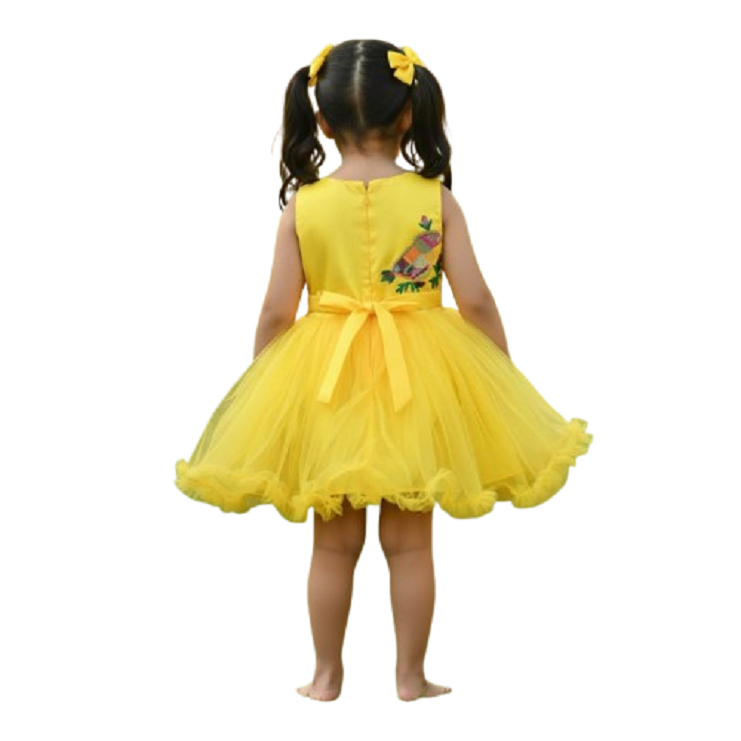 PM Girls Party Wear Frock