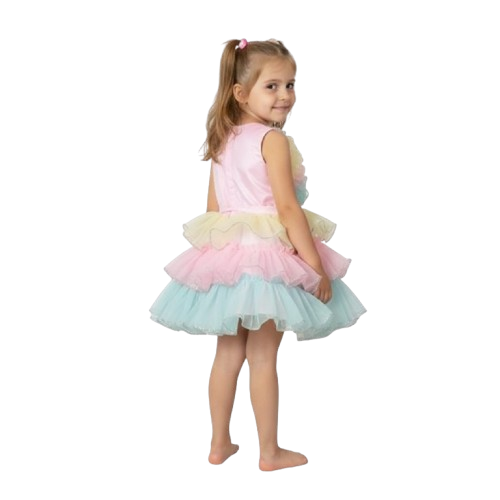 PM Girls Party Wear Frock