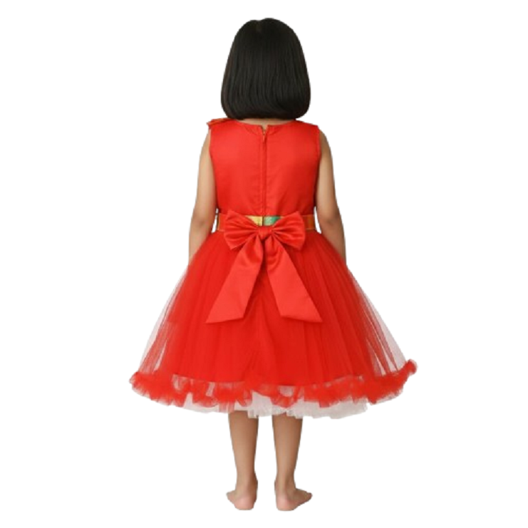 PM Girls Party Wear Frock