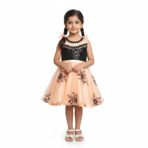 HVM Baby Girls Party Wear Frock