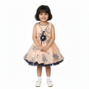 HVM Baby Girls Party Wear Frock